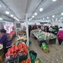 푸른청과 이미지