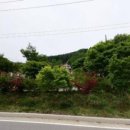 강림면337 이미지