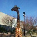 서전공업사 이미지