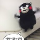 럭셔리광장