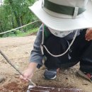 노벨생태어린이집 이미지