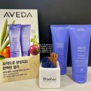 살롱루크 아베다 헤어살롱
