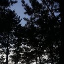 부엉이민박 이미지