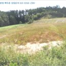 덕상2리 장봉 이미지