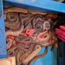 대왕곰장어 | 울산 옥교동 대왕곰장어 솔직후기