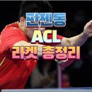 탁구(중급) | 판젠동 ALC 탁구라켓 총정리