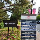 유리의성 | 양양쏠비치 전용해변과 카페, 드라마 유리의성 촬영장소