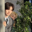 K-타이거즈 | ⋆˚☆오사카 교세라돔 WBC 평가전 [vs 한신 타이거즈] 경기 보고온 후기ᰔ