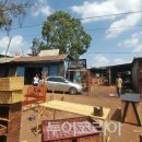 폴레폴레 이미지