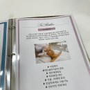 일산 피부 관리 수아트라인 솔직 후기