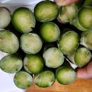 김현기농장 | 강원도아스파라거스 재배 생아스파라거스 직거래 하늘연농장 택배 삼겹이와 저녁메뉴