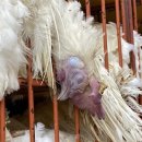 이현우농장 이미지