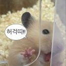 투맨피자 이미지