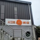 시고르베이글 | 광양/ 베이글 맛집 "시고르베이글" 예약주문방법, 현장구매후기
