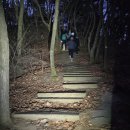 보령종합경기장 다목적경기장 | 아산 고용산 일출 산행 후기 (Feat. 천안 NPRC 26년 첫 번째 행사)