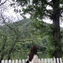 나주 글램핑 어스 이미지