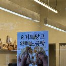 요거트월드죽전보정점 | 🥐 [용인 빵집] 죽전 보정동 '완부제빵소' 인생 소금빵...솔직 후기 (ft. 왁뿌소금빵, 샌드위치 강추)