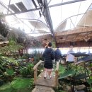 하얀천국 | [달랏 여행 필수코스] 랑비앙 뷰 맛집! 텅룽덴 카페 '천국의 계단' &amp; 인생 땅콩 후기