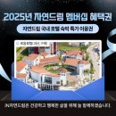 자연드림 호텔 로움 1관 이미지