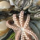 명가손칼국수 이미지