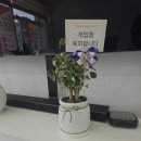 주니컴퍼니