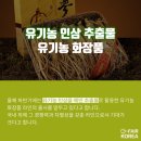 씨에이치 이미지