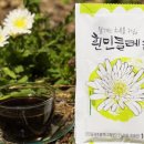 지리산사람들(지리산민들레) 이미지