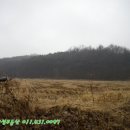 덕산양계 이미지