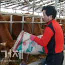 대천농장 이미지