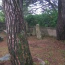 대불초등학교 이미지