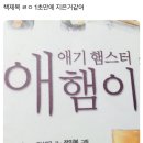 알유 이미지