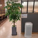 하베르스터디카페 이미지