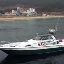 전하낚시 이미지