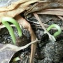 이준 농장 이미지