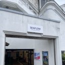 서호동-69 이미지