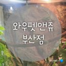 와우펫앤쥬 부산점 | 와우펫앤쥬 부산점 - 아이와가기좋은 반려동물용품점