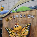 정선군생태체험학습장캠핑장 | 동강생태체험학습장 동강생태정보센터 영월곤충박물관 단체관람했어요!