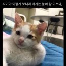 리미트리스 짐 | 우당탕탕 2박3일 대만 타이베이 여행(3) | 대만 방탈출, 키키레스토랑 대항마 진천미, 우유도넛