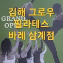 삼계중앙로 | 김해 삼계 필라테스 바레 그로우 수업 후기