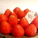 리치웰 호텔(Richwell Hotel) 이미지