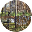 (주)회덕 이미지