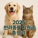 시민동물병원 | 🐶 반려동물 병원비 최대 100만원 지원! 몰라서 못 받는 2026년 지원금 총정리
