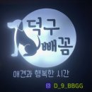 애견수족관 이미지