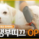 펫부띠끄 이미지