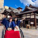 태극권아~ 내 관절을 부탁해 | 일본 돈키호테 추천템 마쓰야마 쇼핑리스트 할인쿠폰