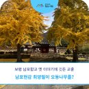 장수향교 | [살아숨쉬는 향교·서원] 남포현감 최양필이 오동나무를? 프로그램 스케치