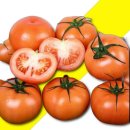 토마토 이미지
