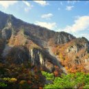 용아농장 이미지