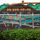 보강천 미루나무숲 이미지