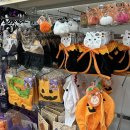 우리텍스 | Osaka Day2｜오사카 난바 다이키몰 고양이 장난감 쇼핑 후기 (가격·텍스리펀 팁)